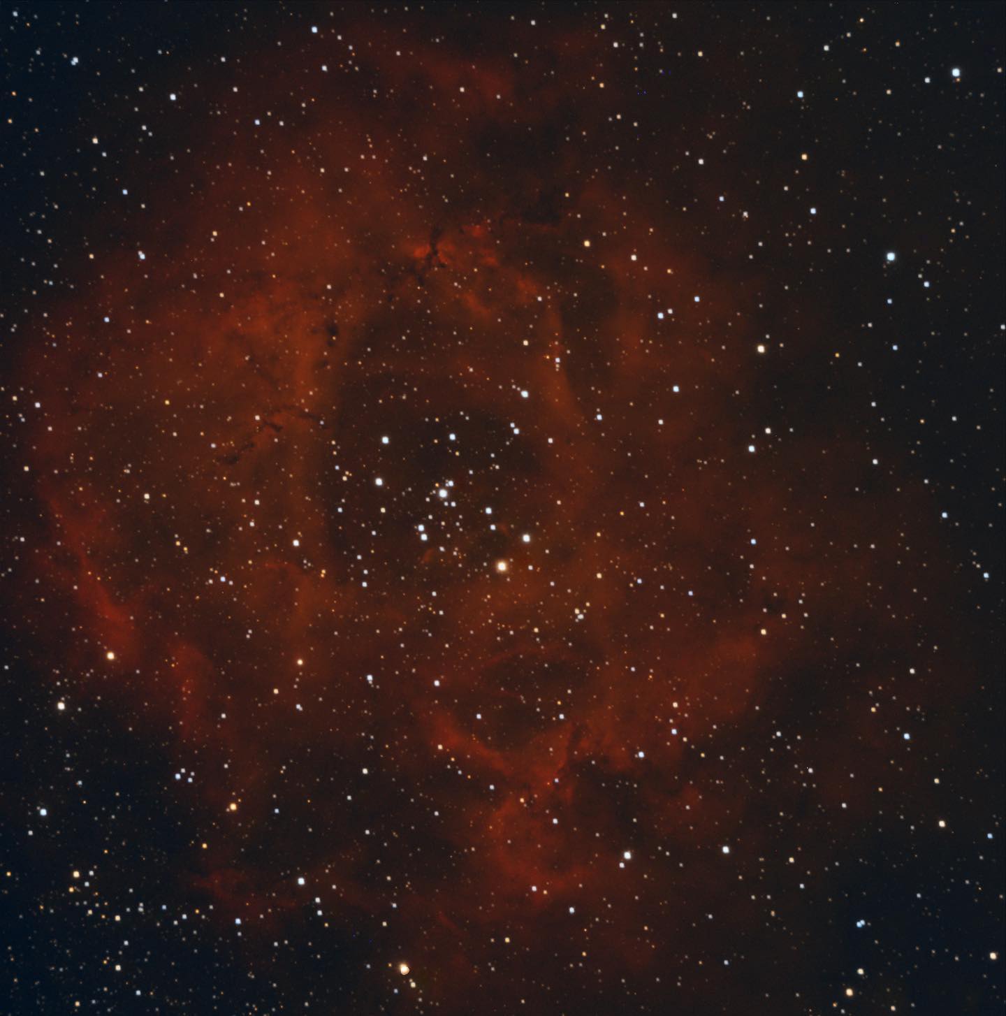 Rosette Nebula