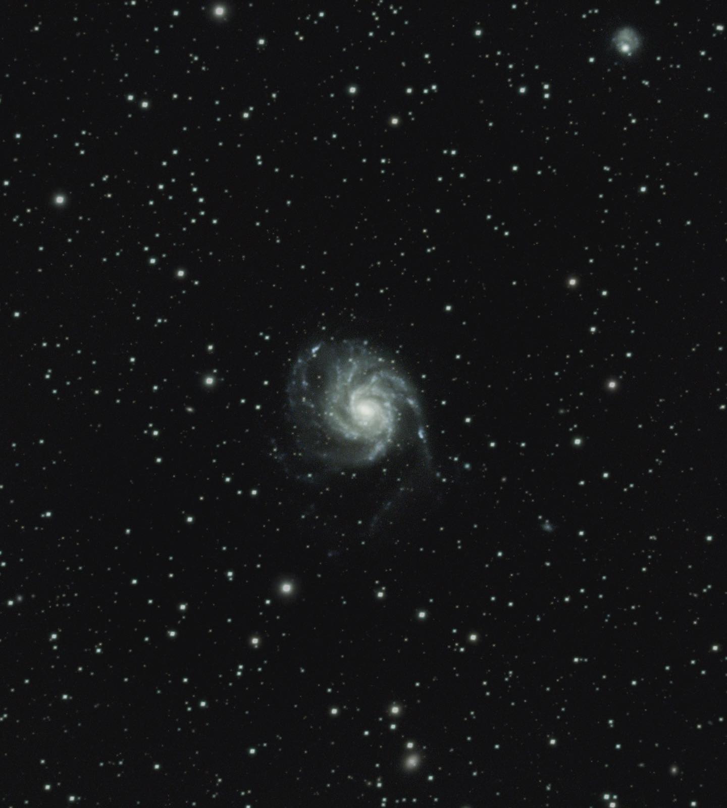 M101
